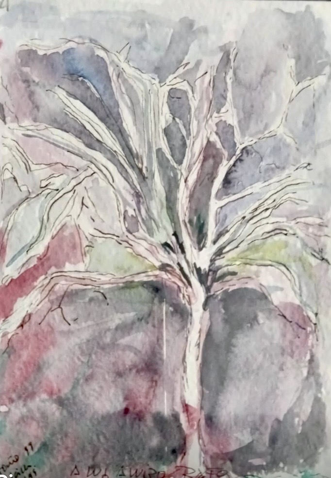 Obra 4